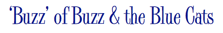 Buzz of Buzz and the Blue Cats